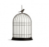 Итальянский светильник FREEDOM Outdoor от Contardi Итальянский светильник FREEDOM Outdoor от Contardi
