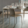 Итальянский стул Cattelan Italia Sally Итальянский стул Cattelan Italia Sally