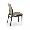 Итальянский стул Cattelan Italia Ginevra Итальянский стул Cattelan Italia Ginevra